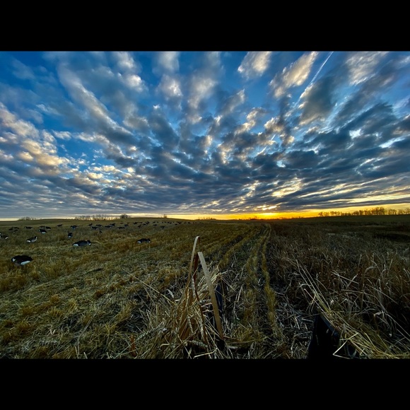 Meet your Posher, Timmy - Picture 1 of 1